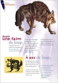 mots animaux